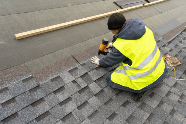 Best Roof Repair Services  in Niles, MI