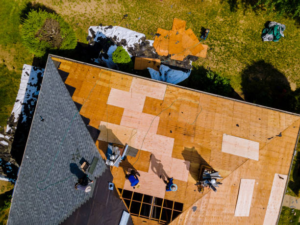 Best Roof Maintenance Services  in Niles, MI