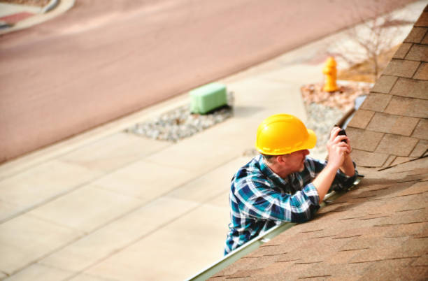 Best Roof Gutter Cleaning  in Niles, MI