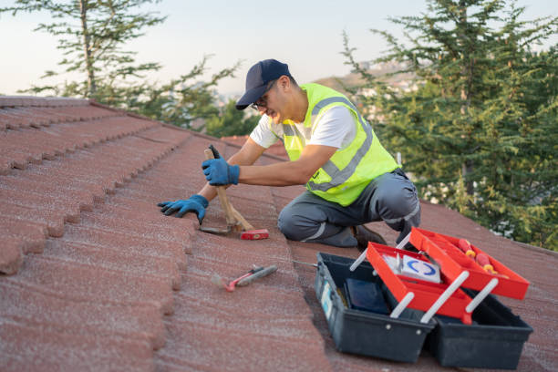 Best Best Roofing Contractors  in Niles, MI