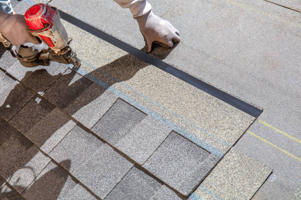 Best Shingle Roofing Installation  in Niles, MI