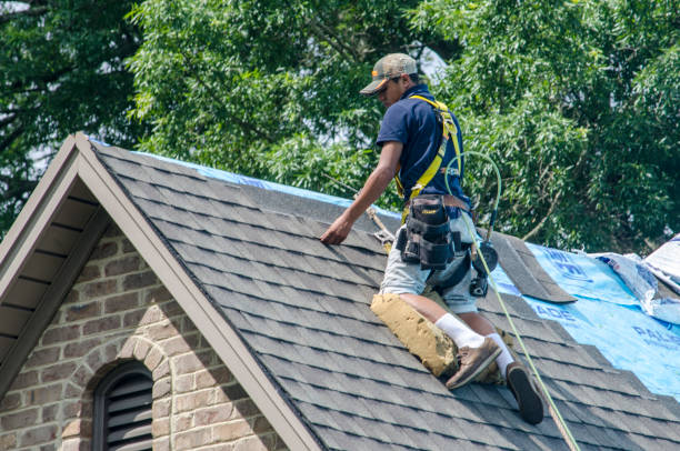 Quick and Trustworthy Emergency Roof Repair Services in Niles, MI